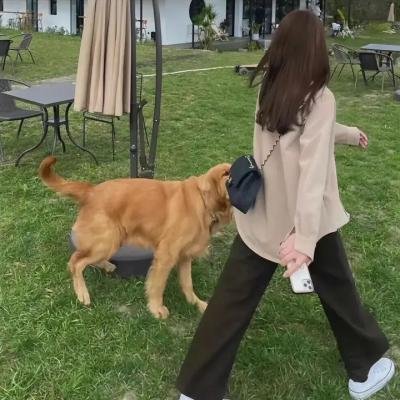何塞的抉择